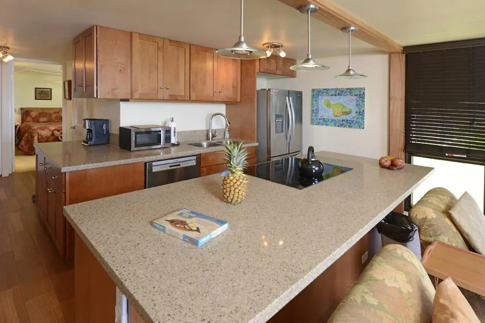 公寓式酒店 Kaleialoha Condominiums 拉海纳