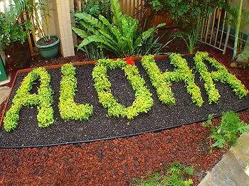 Kaleialoha Condominiums 拉海纳 公寓式酒店